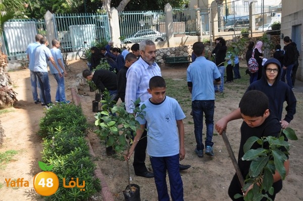 trees shamela 0321 (1).JPG